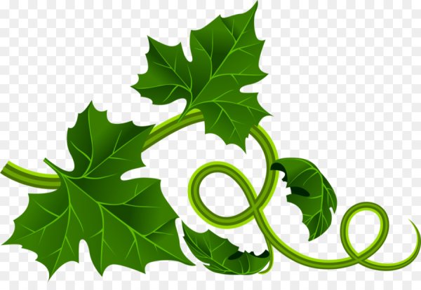 Ядовитый плющ растение тату