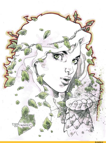 Плющ арт растение