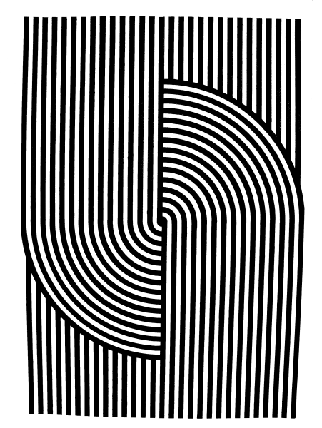 «Оптические иллюзии» (Автор Джейкобс ПЭТ)