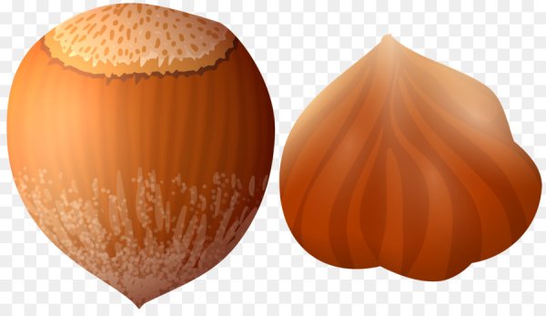 Орешки для детей