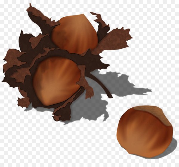 Желудь рисунок