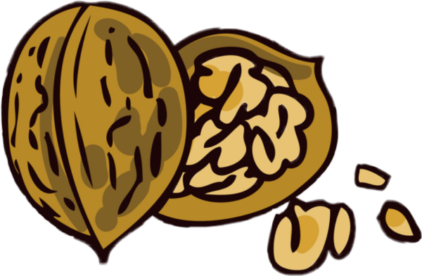 Лещина три орешка