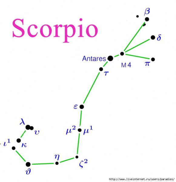 Скорпион Созвездие схема