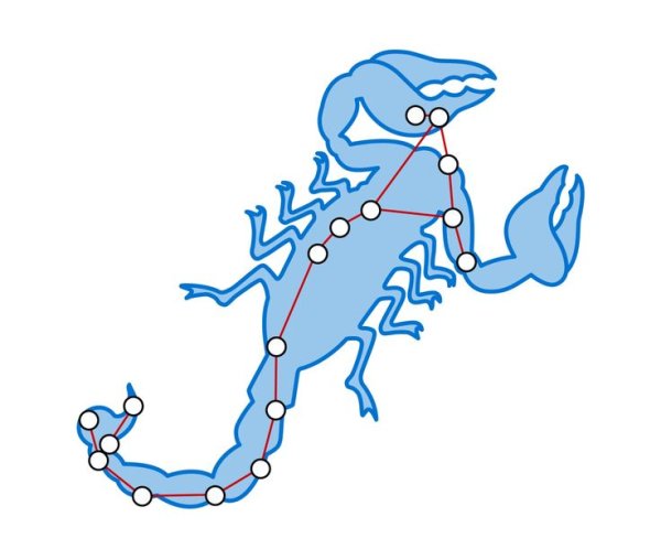 Созвездие Скорпион