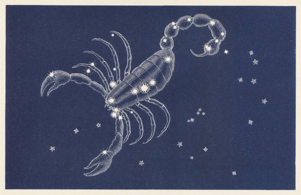 Скорпион знак зодиака Созвездие