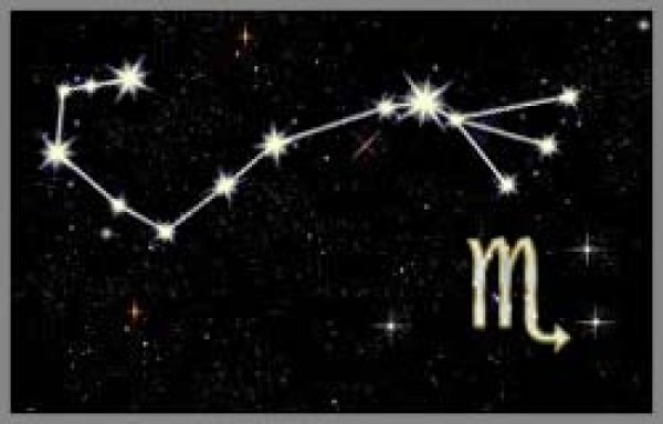 Зодиакальное Созвездие Скорпион