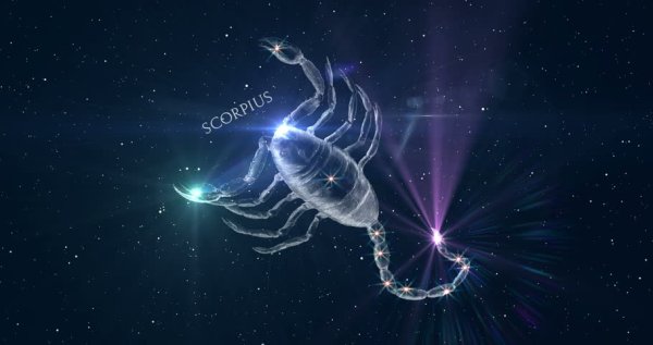 Созвездия зодиака Скорпион