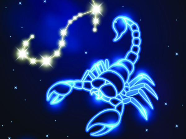 Скорпион такой милый знак