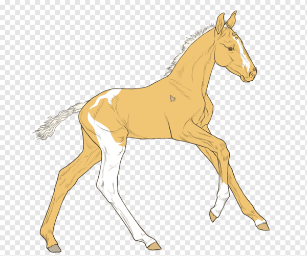 Мультяшные жеребята