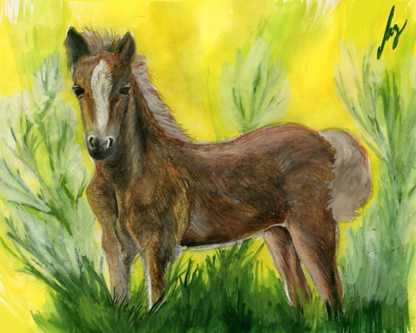 Николай рубцов жеребенок