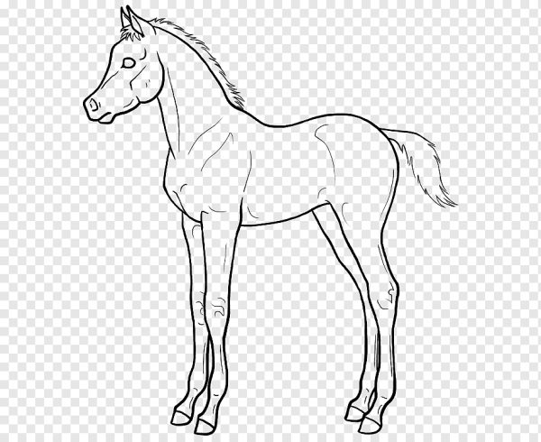 Жеребенок раскраска для детей