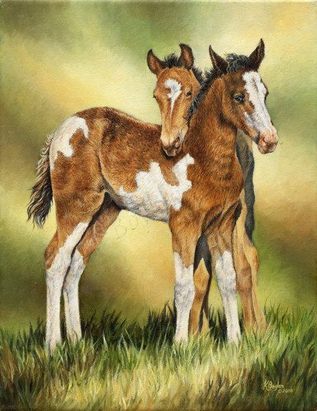 Бонни Маррис лошади