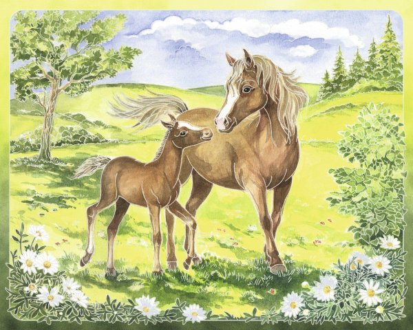 Картина жеребенок для детей