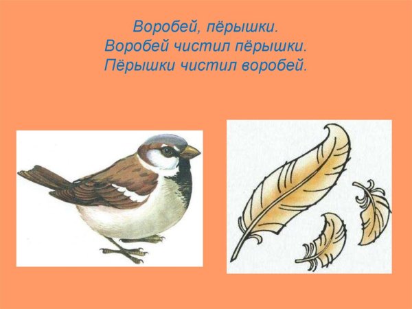 Перышки начищать