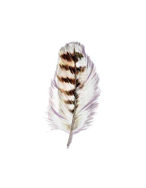 Рисуем перо воробья