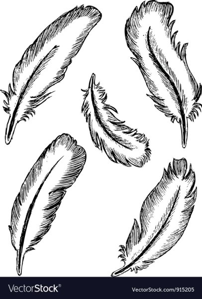 Тушь перо вектор