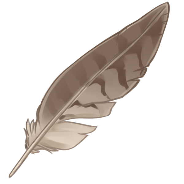Перо птицы на прозрачном фоне