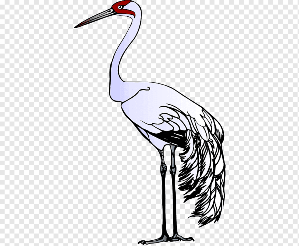 Журавль для дошкольников