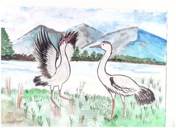 Журавли в Башкирии