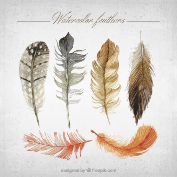 Перья птиц акварелью