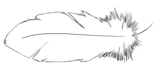 Трафарет перо с птицами