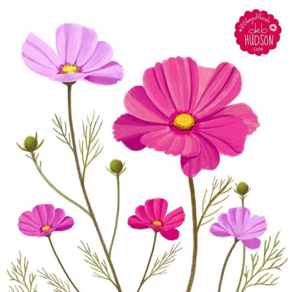 Лепесток космеи