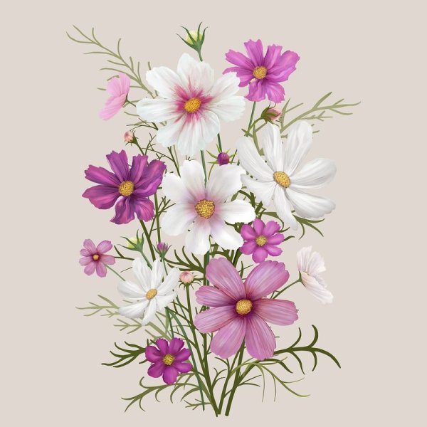 Цветы сверху