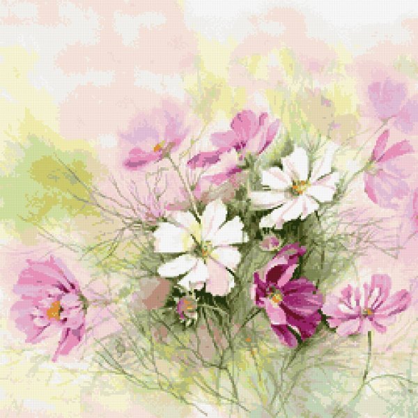 Полевые цветы на белом фоне