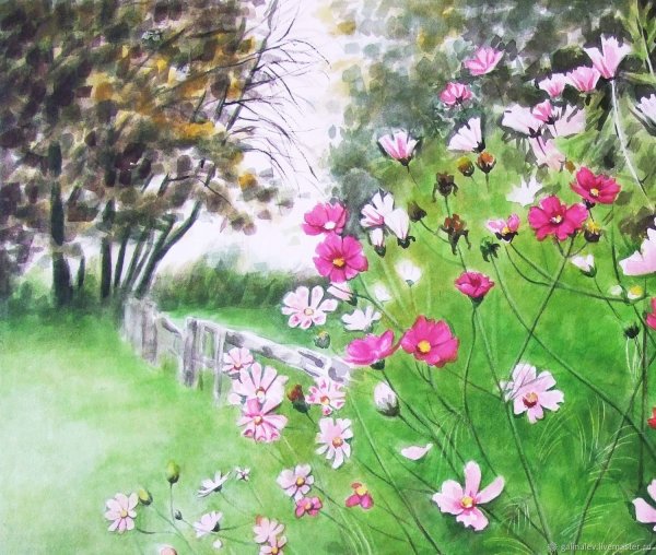 Космея цветок раскраска