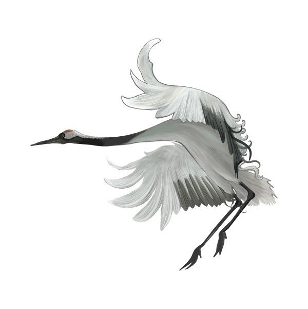 Журавль на белом фоне
