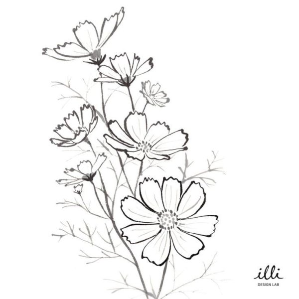 Космея живопись акварелью