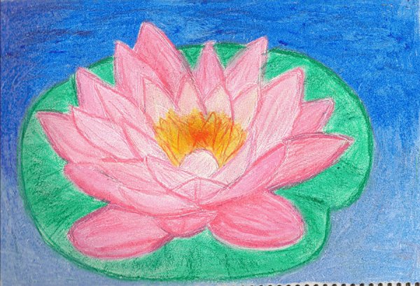 Лотос детский рисунок