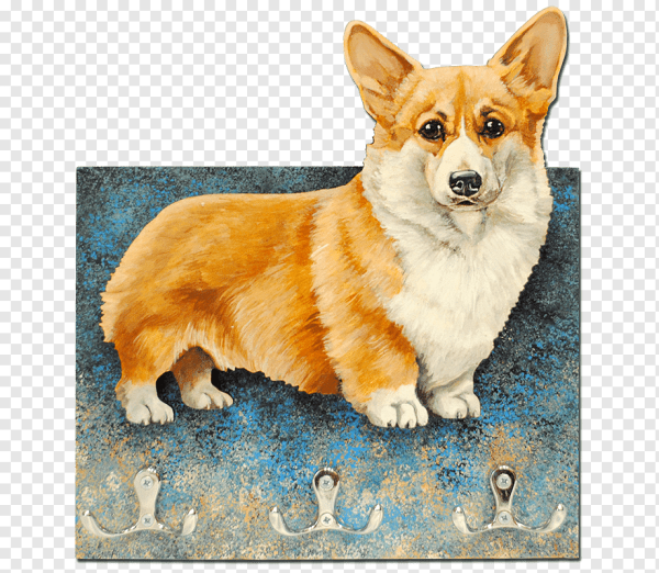 Картина вельш корги