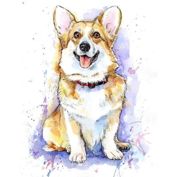 Корги акварелью