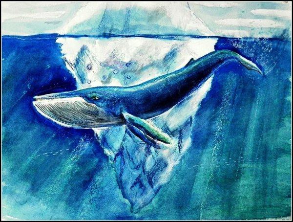 Синий кит рисунок