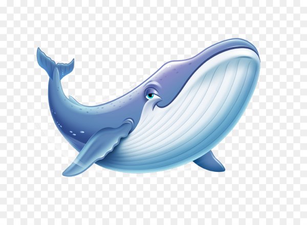 Кит на белом фоне