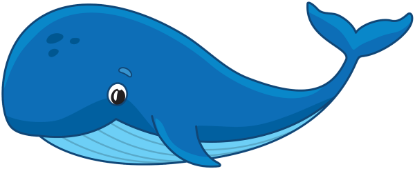 Киты мультяшные