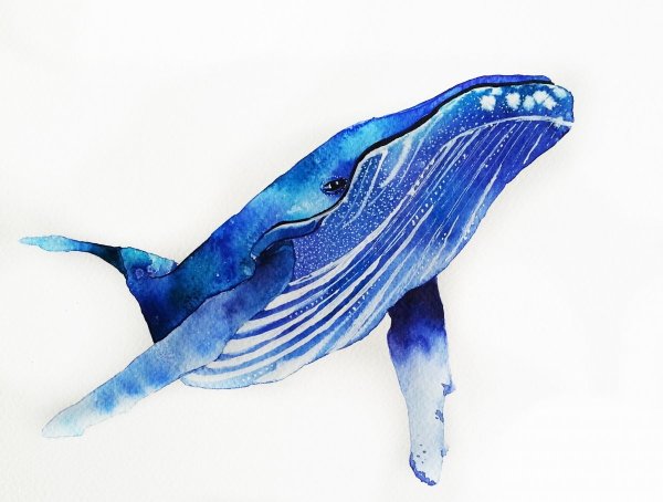 Кит акварелью
