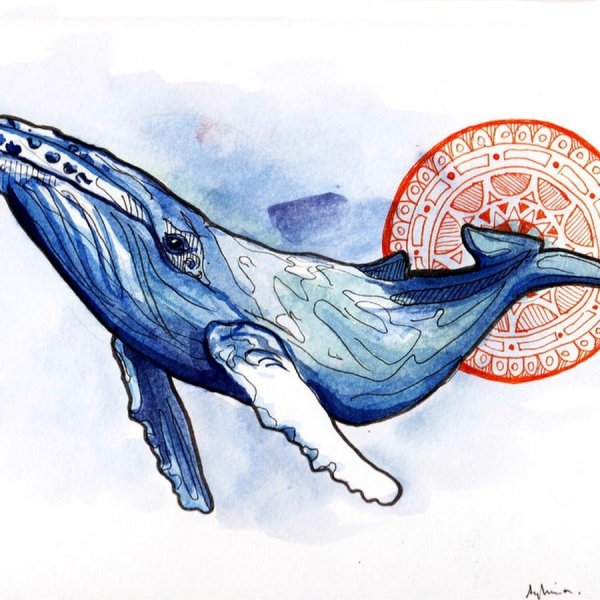 Эскиз тату синий кит