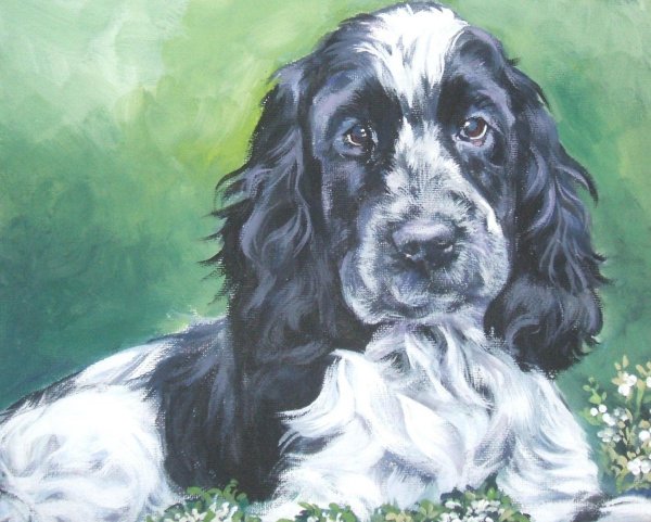 Английский кокер спаниель арт