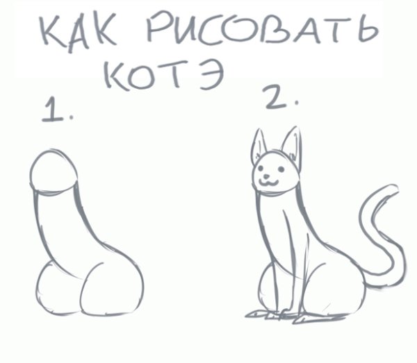 Член рисунок