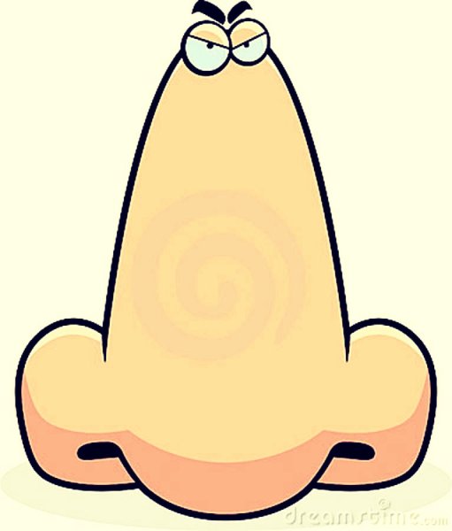 Веселый нос