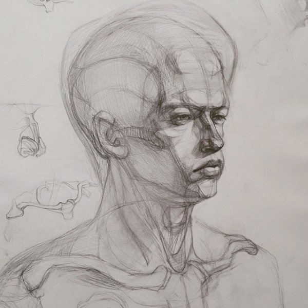 Гипсовая голова с плечевым поясом