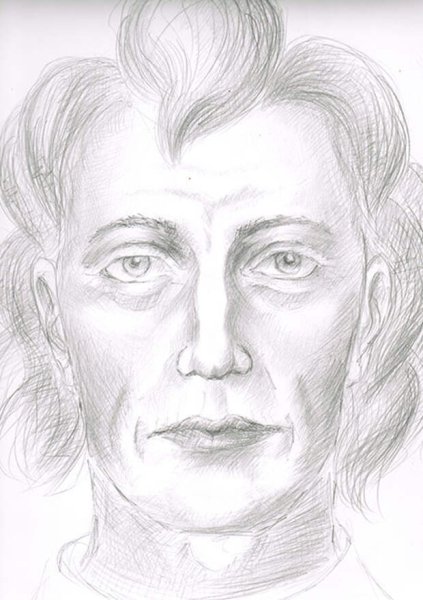 Телеканал звезда портрет Суворова