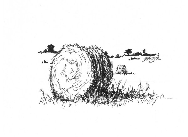 Нарисовать сено