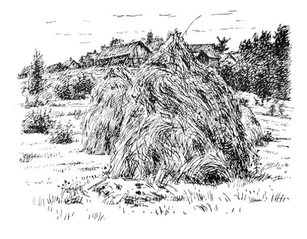 Сено карандашом