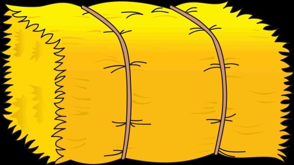 Сено вектор