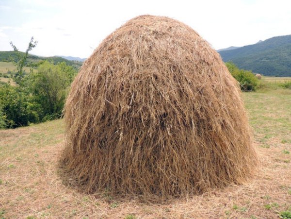 Сено для детей