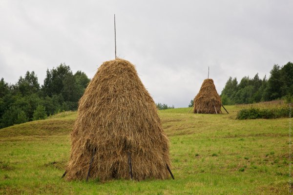 Скирда сноп