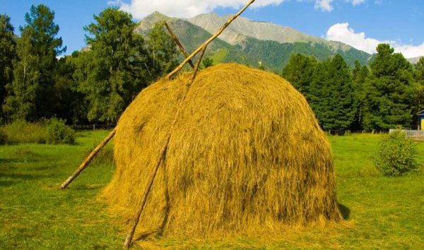 Копна сена